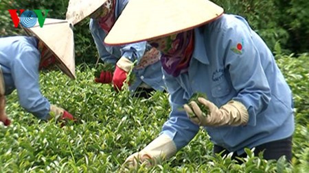 Vietnam erreicht in den ersten fünf Monaten einen Handelsüberschuss von 1,36 Milliarden US-Dollar - ảnh 1